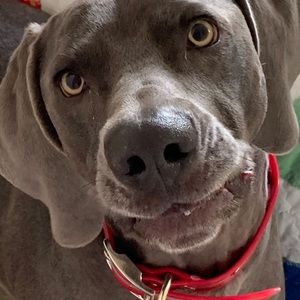 Meet your Posher, Tina